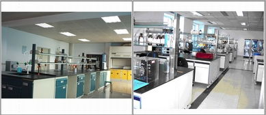 禽藥與獸藥新技術交流 以質量為核心，共筑未來獸藥發展之路