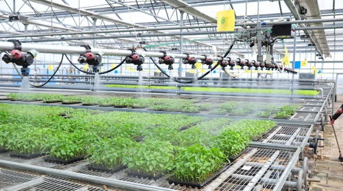 延慶區現代化育苗工廠 科技賦能農業，守護首都“菜籃子”穩定